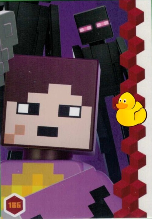 LEGO Minecraft Serie 3 | #186 Puzzlekarte Das Ende 6