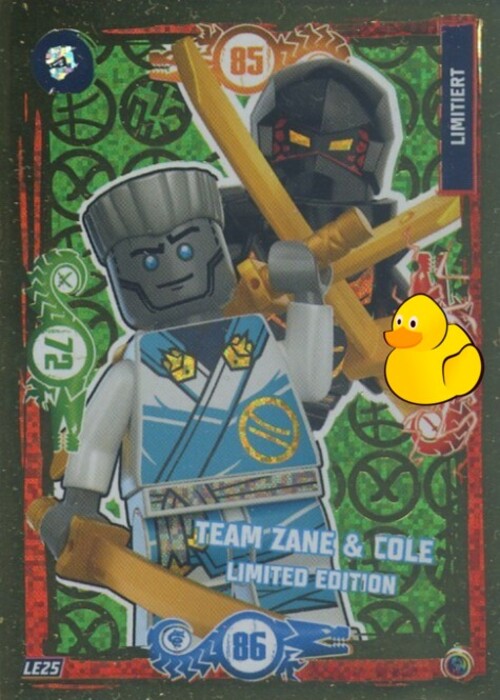 LEGO Ninjago Serie 9 | #LE25 Team Zane & Cole