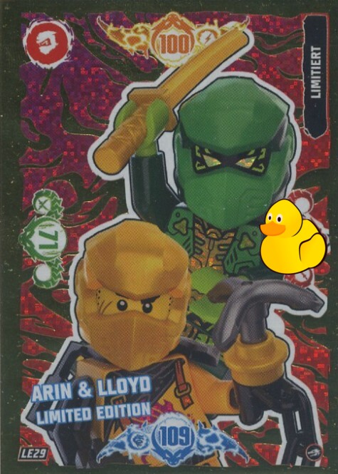 LEGO Ninjago Serie 10 | #LE029 Arin & Lloyd